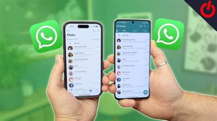 How do I contact SAS by phone?