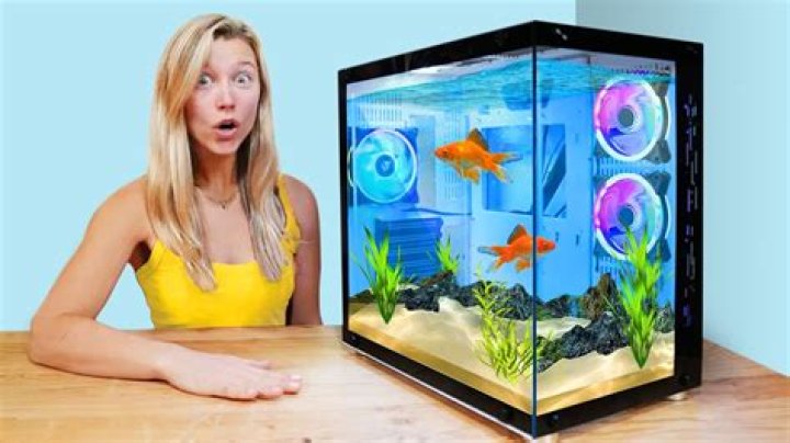 How do I get my fish tank ready for fish?