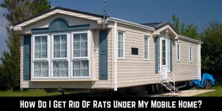 How do I get rid of rats under my mobile home