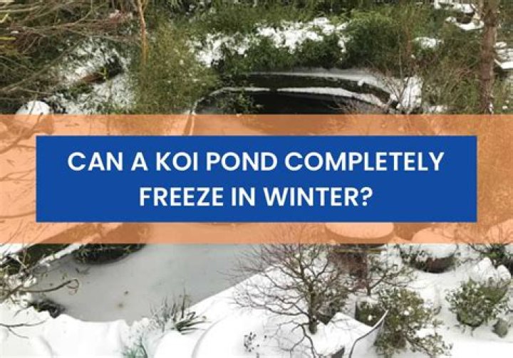 How do I keep my koi pond from freezing in the winter