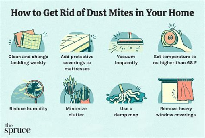 How do I prevent dust mites in my bedroom