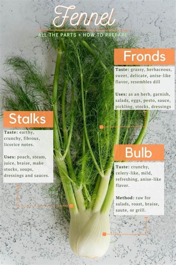 How do I prune fennel