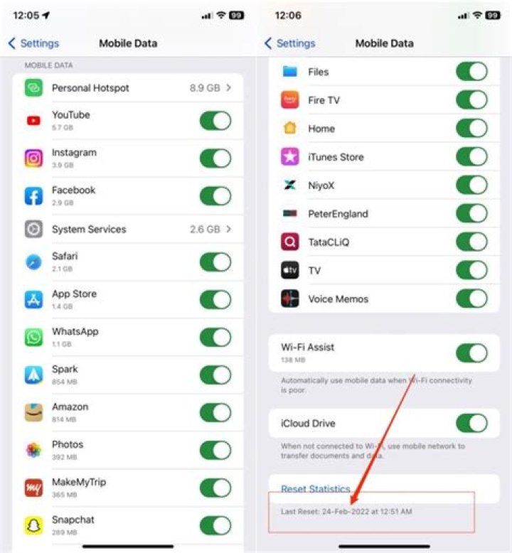 How do I reset my data usage cycle?