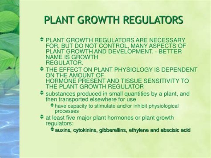 How do plant growth regulators work