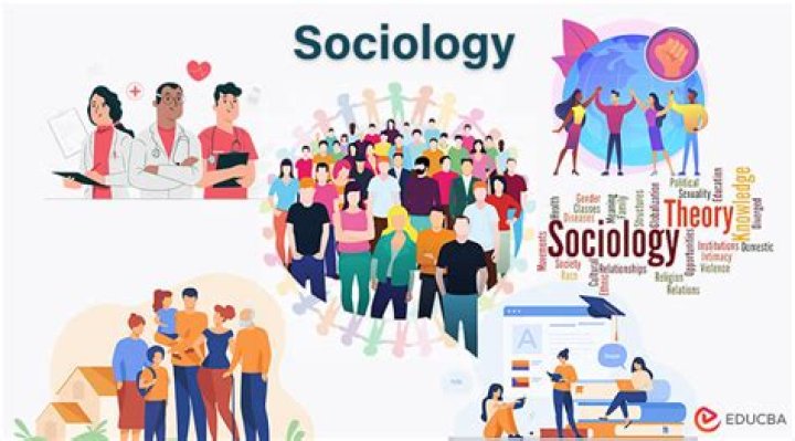 How do sociologists define sport
