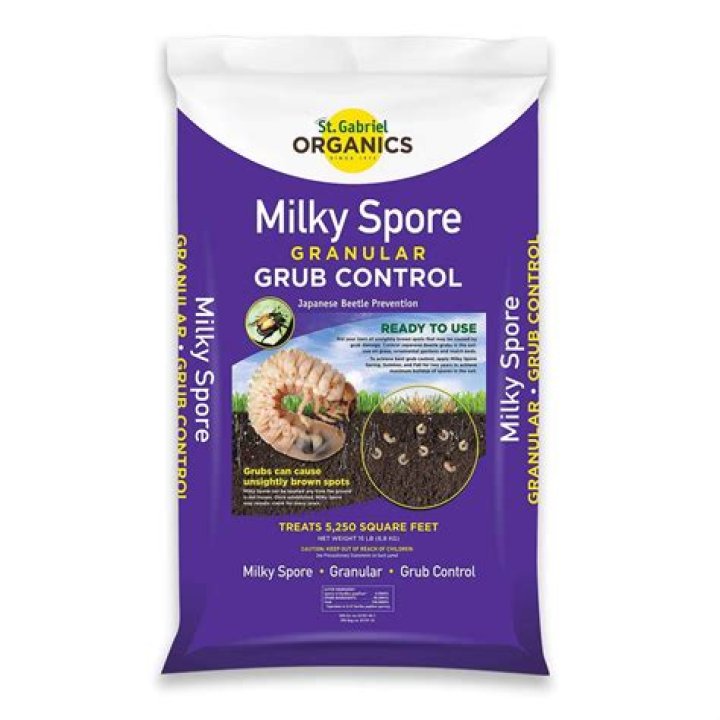 How do you apply milky spore for grubs