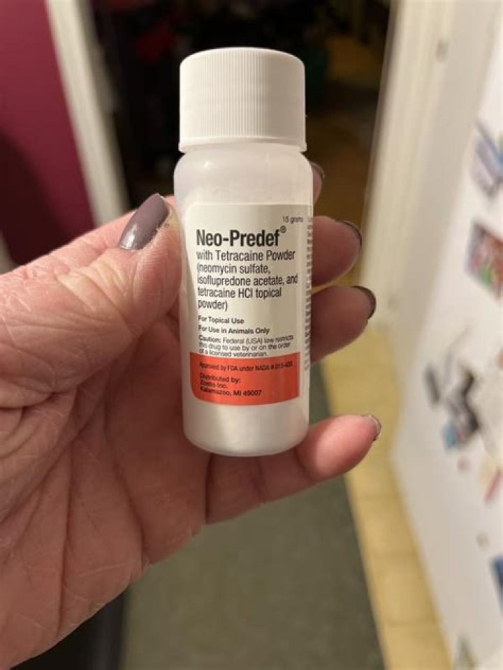 How do you apply neo Predef powder to dogs