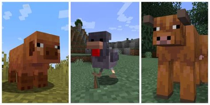 How do you attract animals in Minecraft?