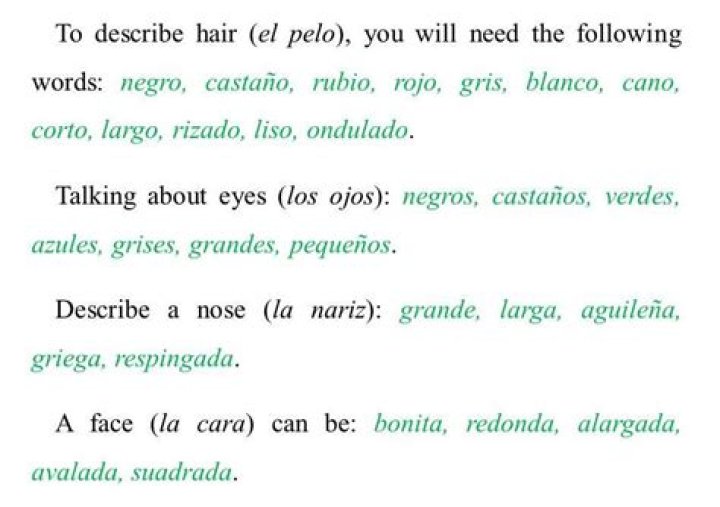 How do you describe someone in Spanish using ser?