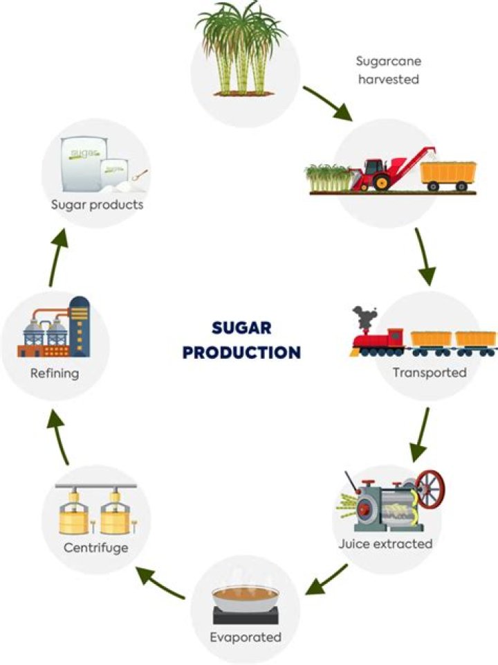 How do you extract sugar from sugar cane?