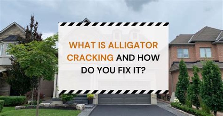 How do you fix alligator skin?