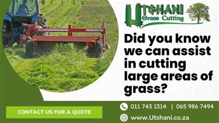 How do you get rid of large areas of grass