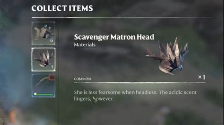 How do you get the patron badge for Masters