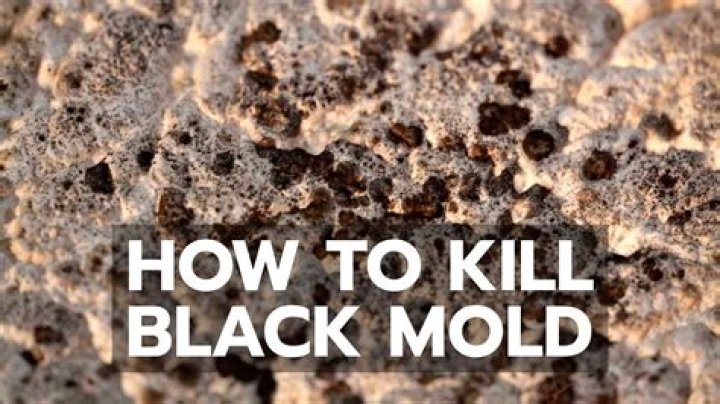 How do you kill black mold on wood
