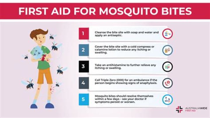 How do you know if a mosquito bite is infected?
