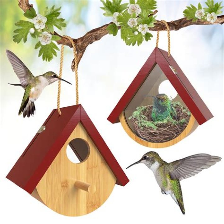 How do you make a hummingbird house
