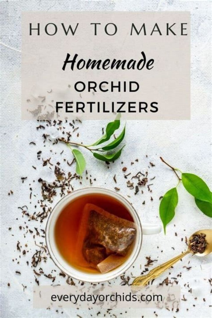 How do you make homemade orchid food