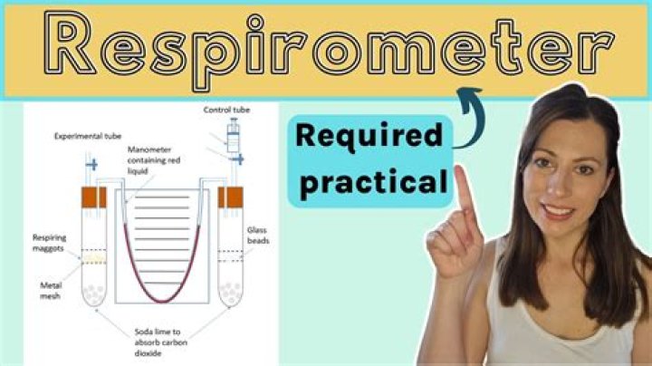 How do you measure the rate of cellular respiration
