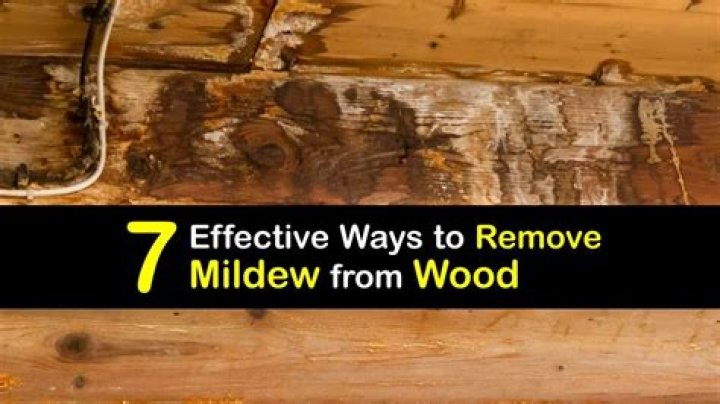 How do you remove mildew from finished wood