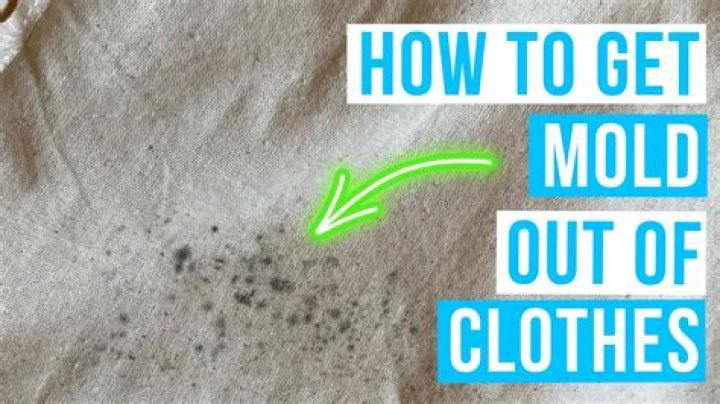 How do you remove mold and mildew from fabric?