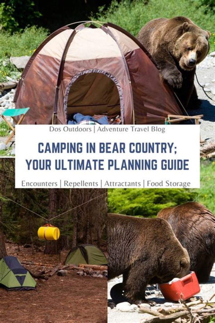 How do you store food when camping in bear country?