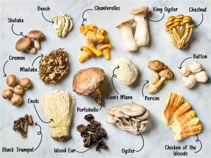 How do you store maitake mushrooms