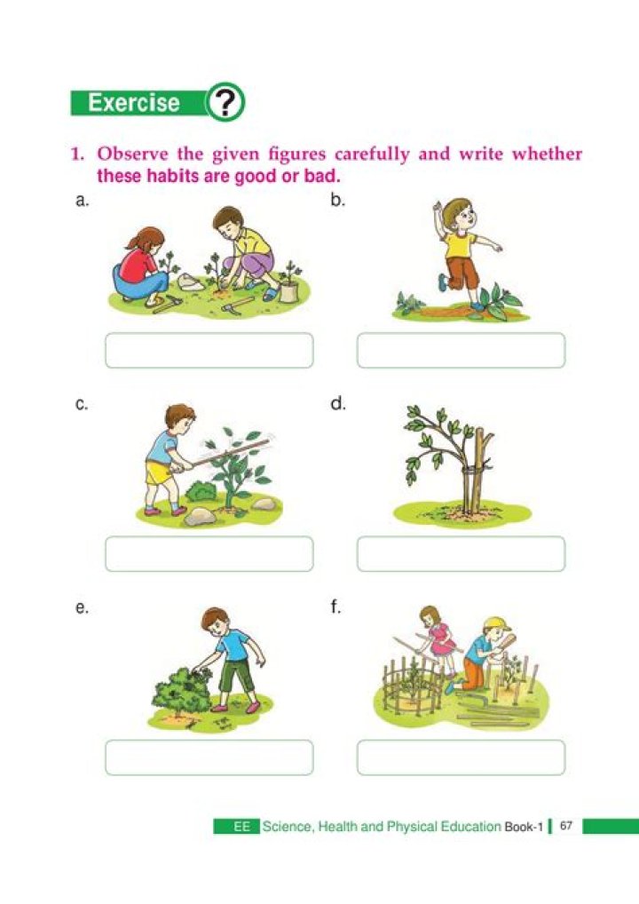 How do you take care of a Benjamin tree