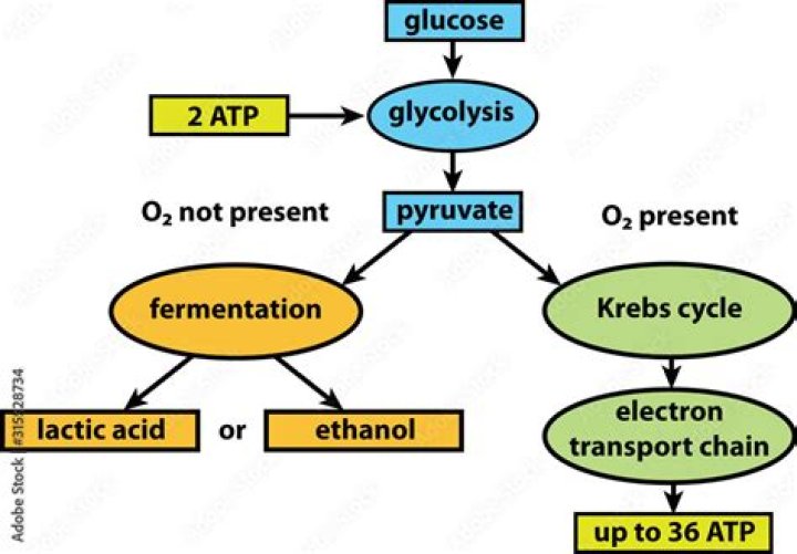 How do you train anaerobic glycolysis