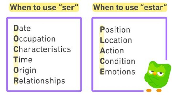 How do you use ser and estar verbs