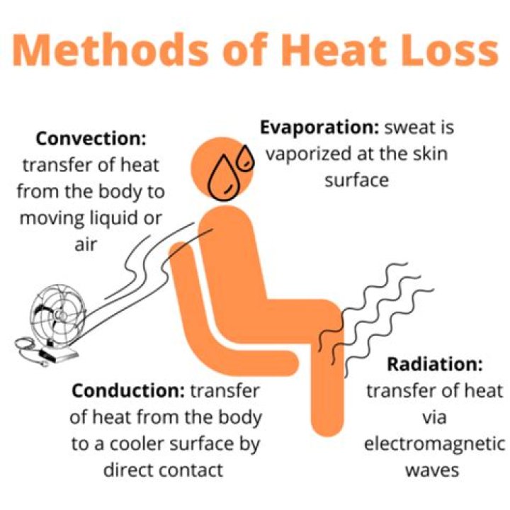 How does heat escape the body