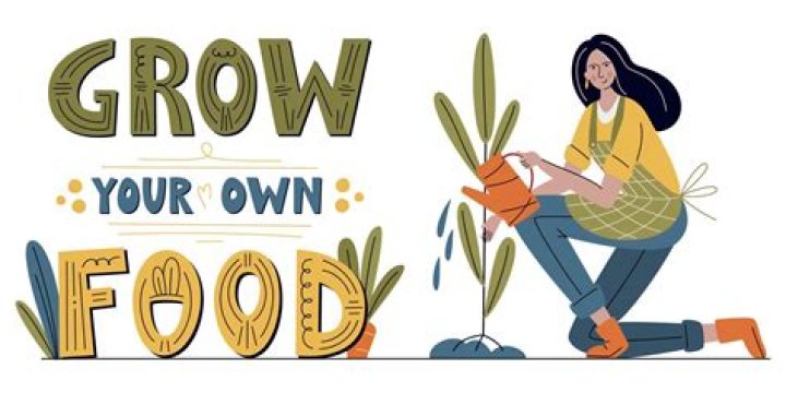 How does planting your own food benefit the environment