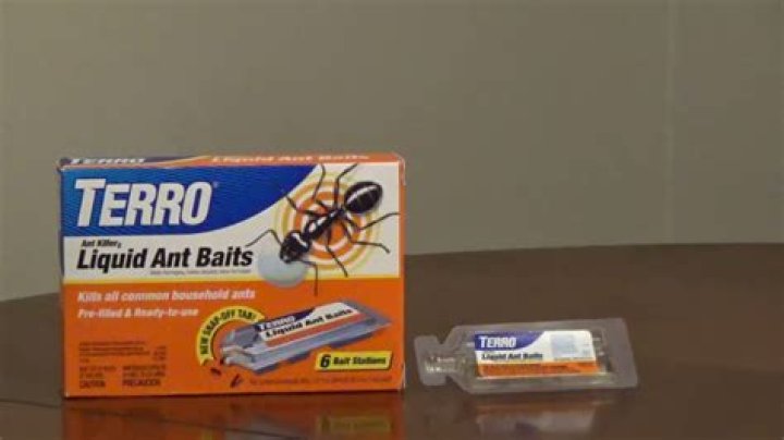 how does terro liquid ant bait work