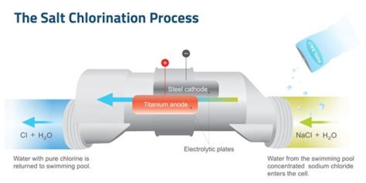 How does the salt chlorinator work