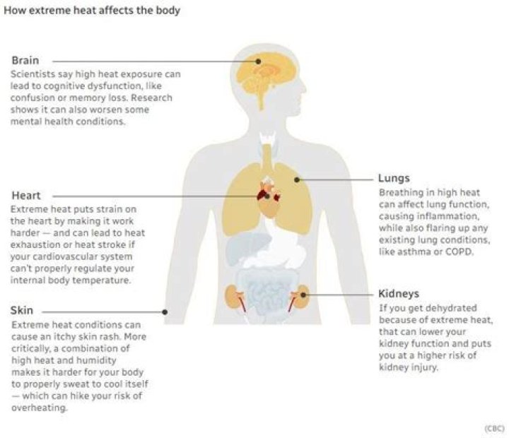 How does turpentine affect the body?