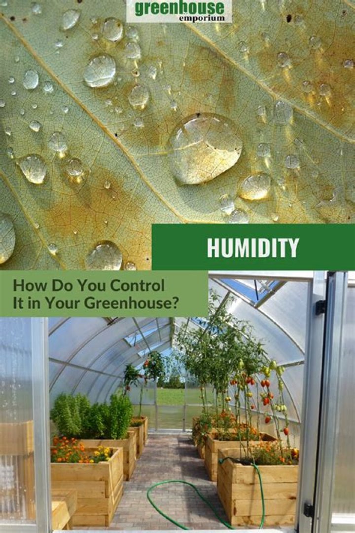 How humid should a greenhouse be