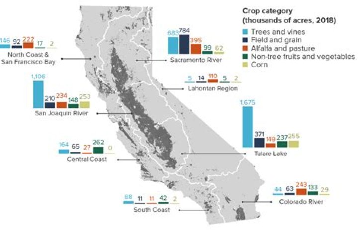 How is celery produced in California