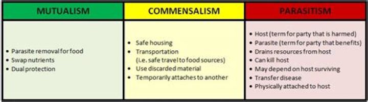 how is commensalism different from parasitism