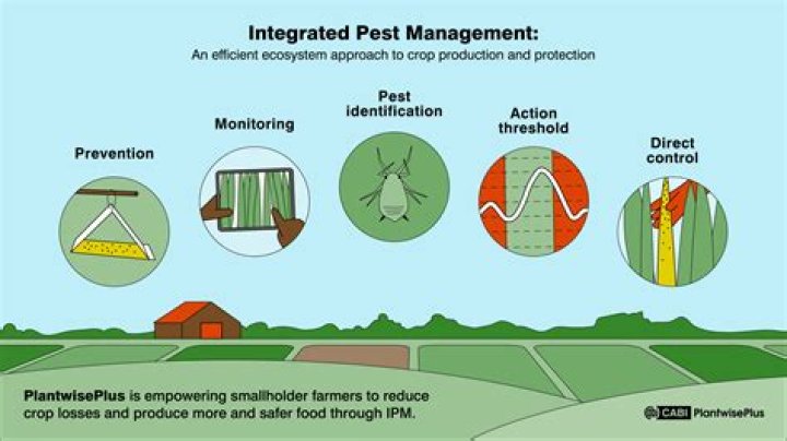 How is Integrated Pest Management used