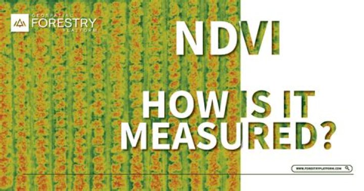 How is Ndvi measured