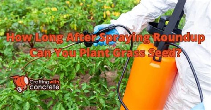 how long after spraying roundup can you plant