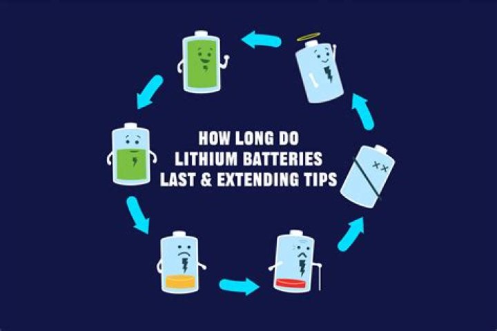 How long do pet safe batteries last