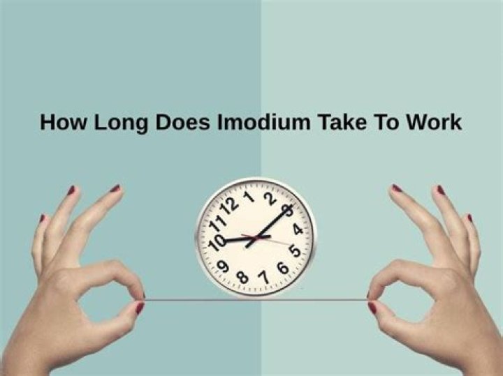 how long does imodium take to work