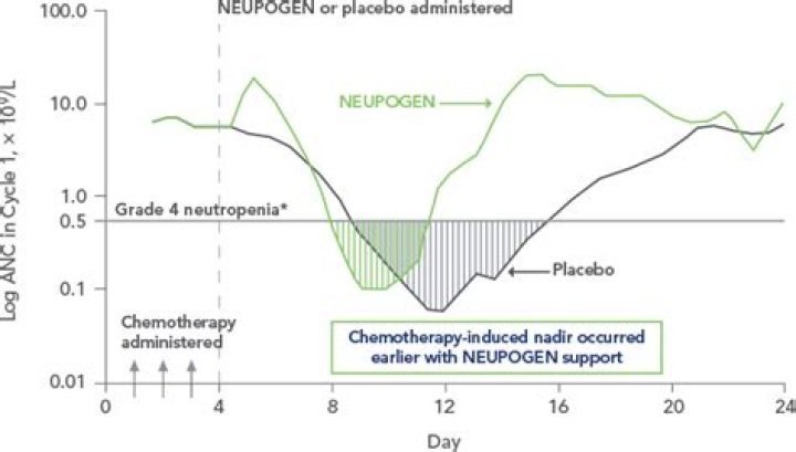 how long does it take for neupogen to work