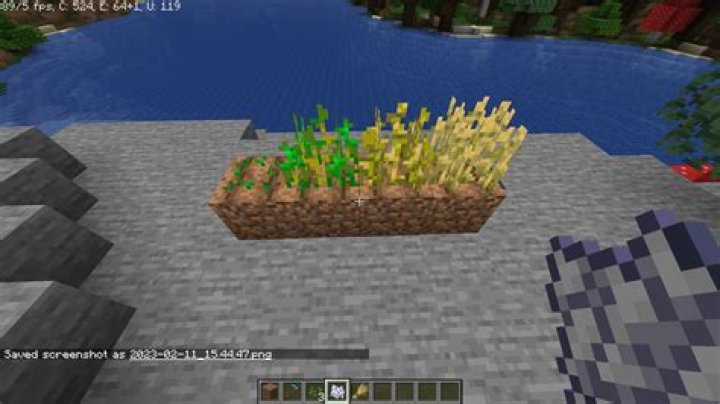 How long does wheat take to fully grow in Minecraft?