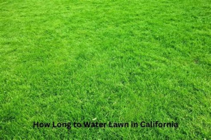 how long to water lawn in california