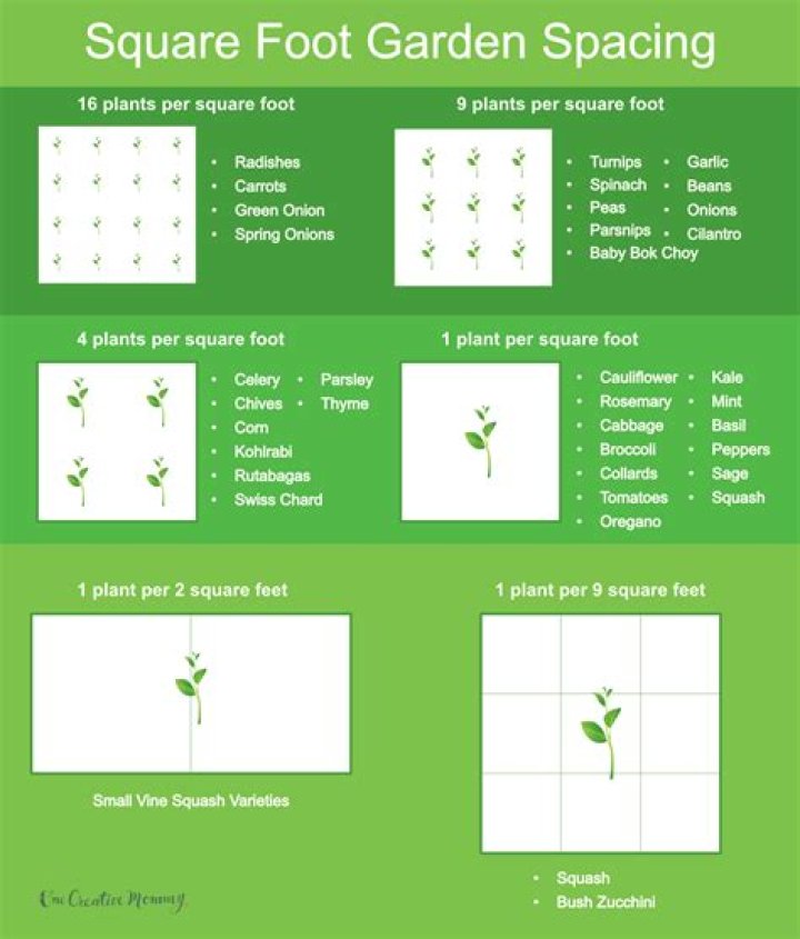 how many 3×6 tiles in a square foot