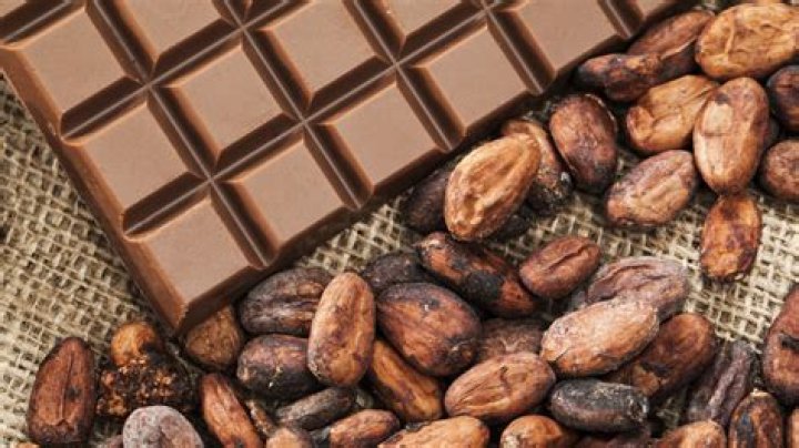How many cocoa beans does it take to make a chocolate bar