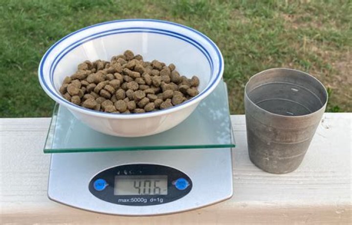 How many cups of dry dog food are in a pound?
