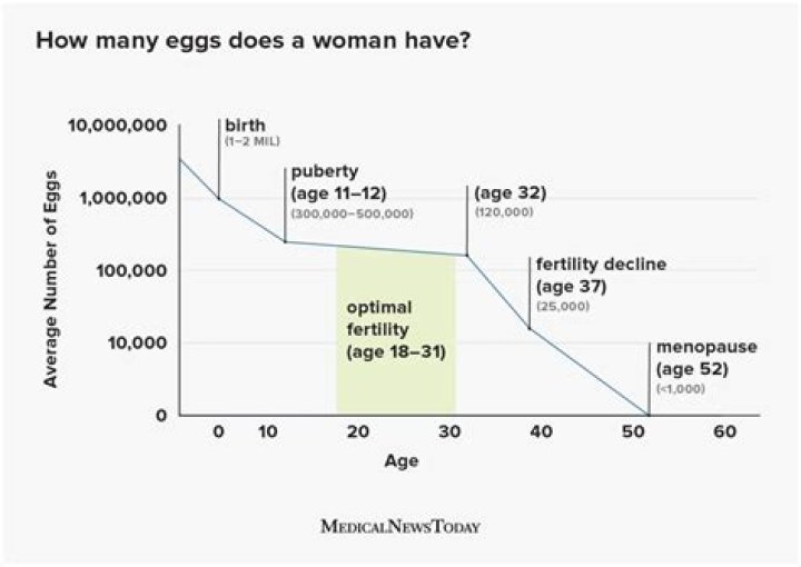 how many eggs do women have