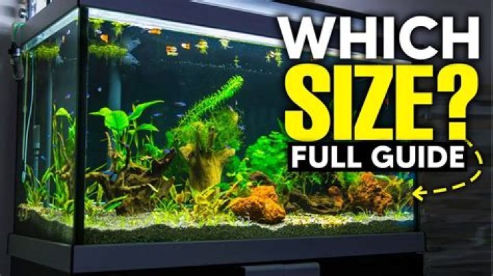 How many gallons is a 40l tank?
